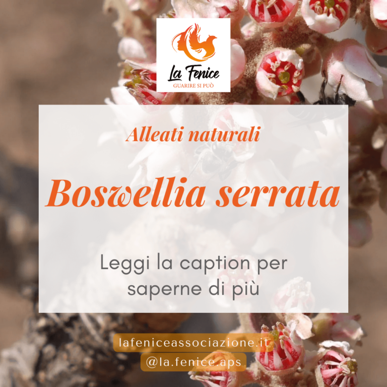 Boswellia serrata