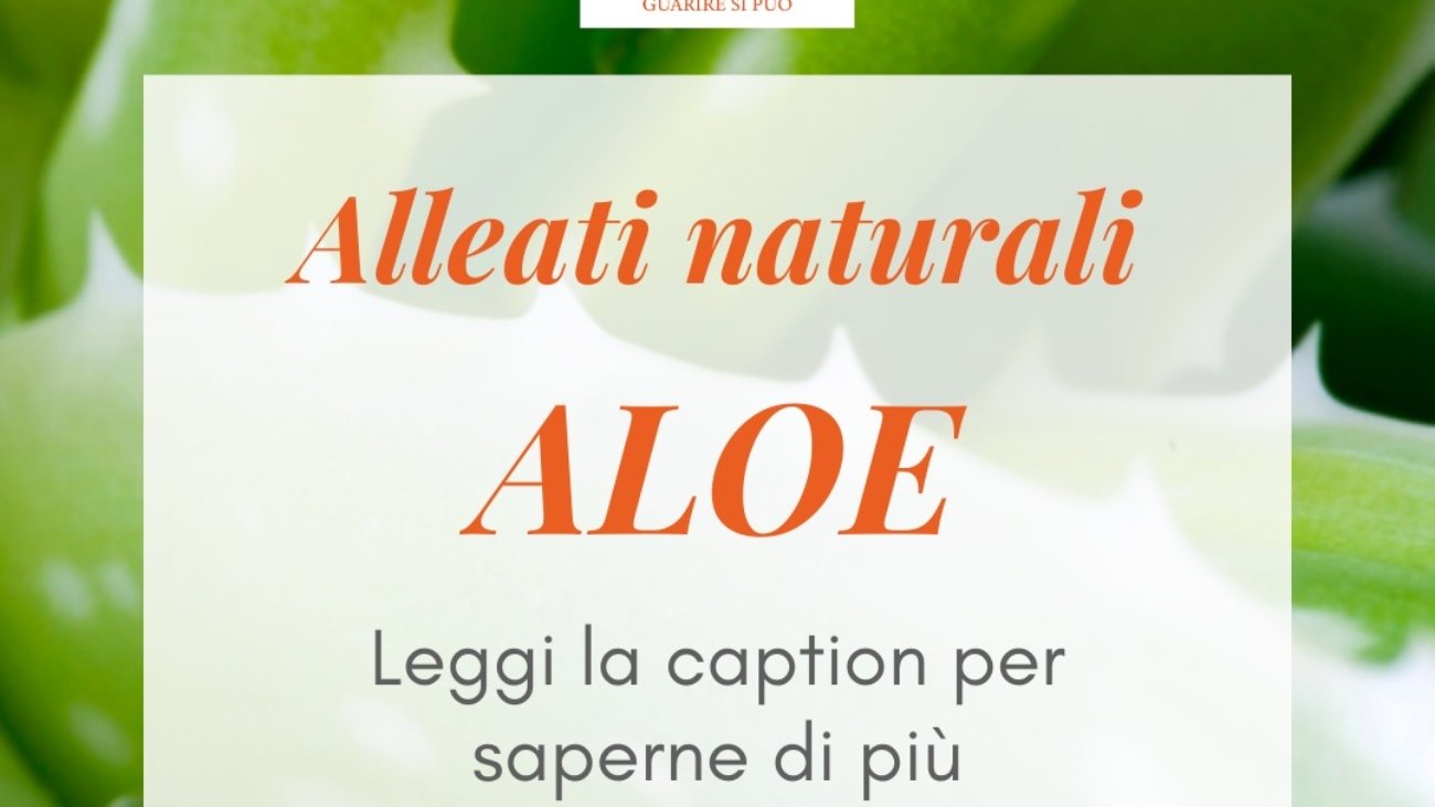 aloe
