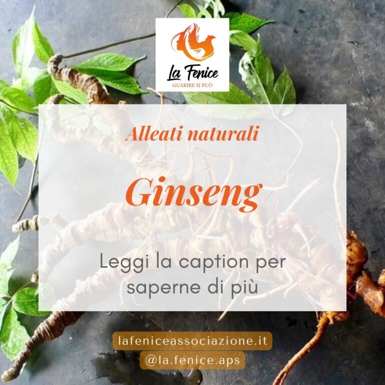 ginseng
