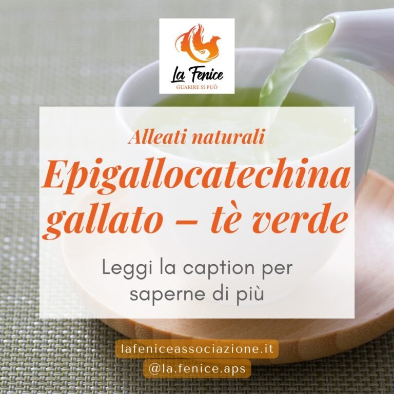 Epigallocatechina