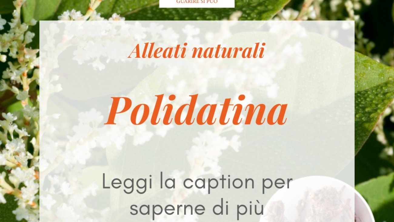 La Polidatina- un potente alleato naturale per la tua salute