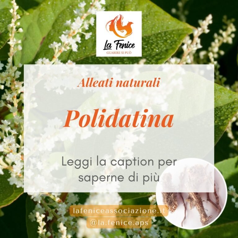 La Polidatina- un potente alleato naturale per la tua salute