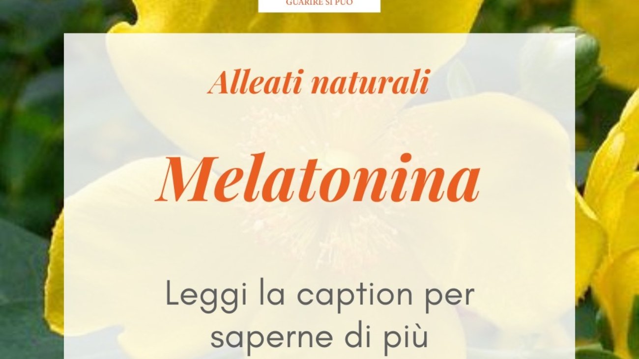 Melatonina- il segreto del nostro ritmo naturale