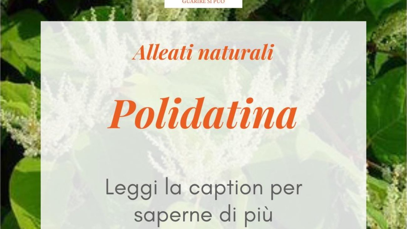 Polidatina- il potente alleato naturale che non ti aspetti