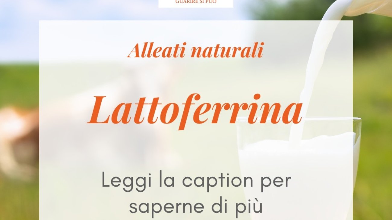 Scopri la Lattoferrina- Un Potente Alleato per la Salute