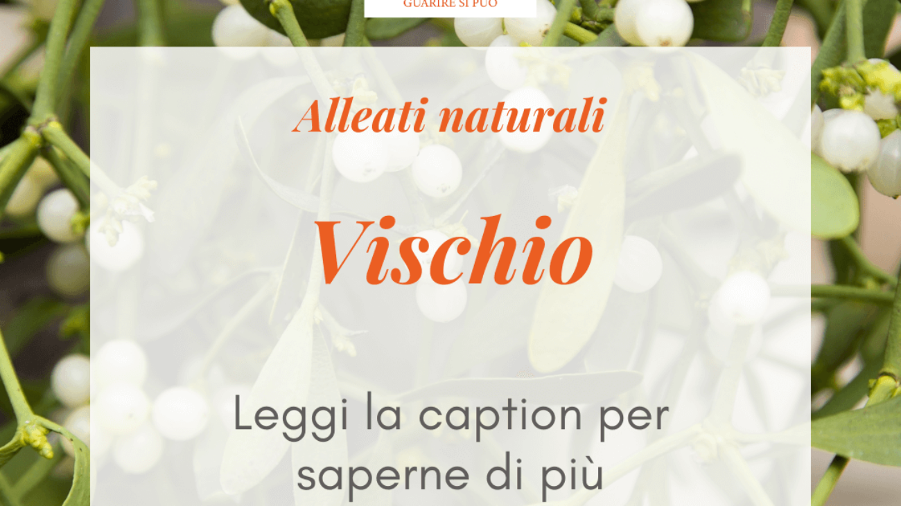 vischio