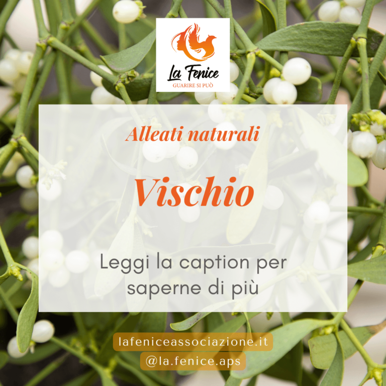 vischio
